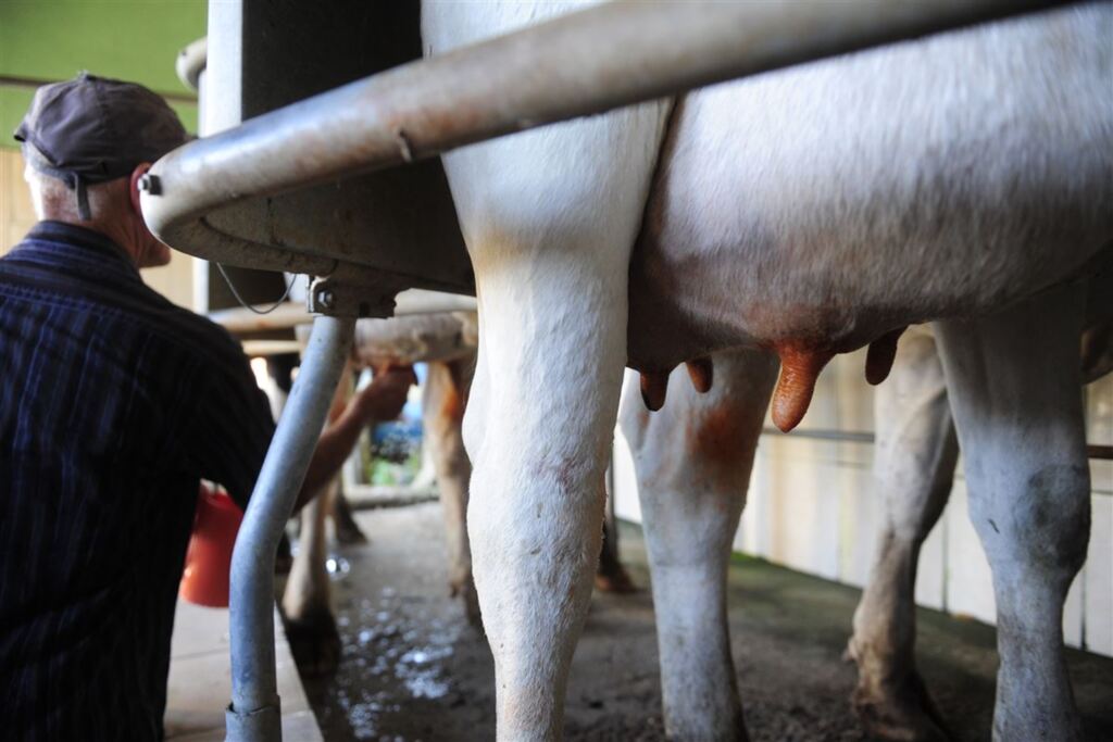 UFSM sedia debate sobre mudanças na regulação do leite
