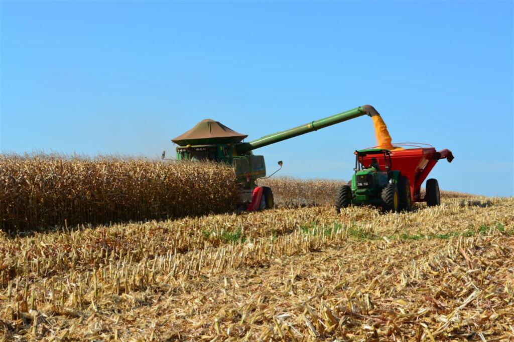Colheita de milho atinge 65% das lavouras no Rio Grande do Sul