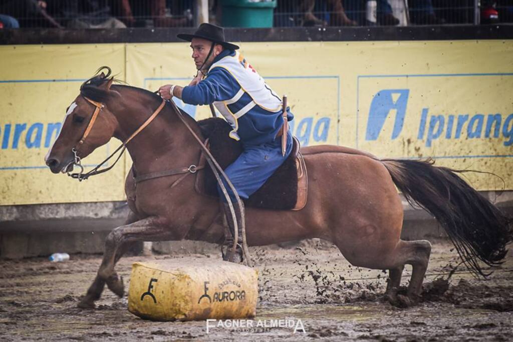 Foto: Fagner Almeida (ABCCC / Divulgação) - Ginete Daniel Teixeira, de Júlio de Castilhos, já tem longa tradição ao treinar e conduzir cavalos durante o Freio de Ouro