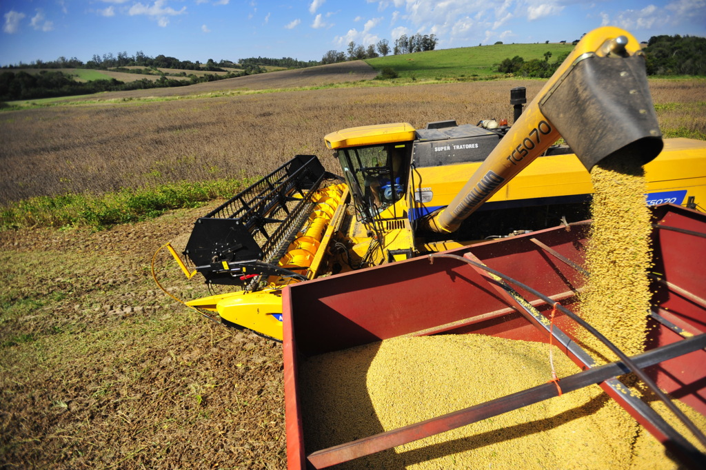 Colheita de soja na Região registra crescimento da produtividade