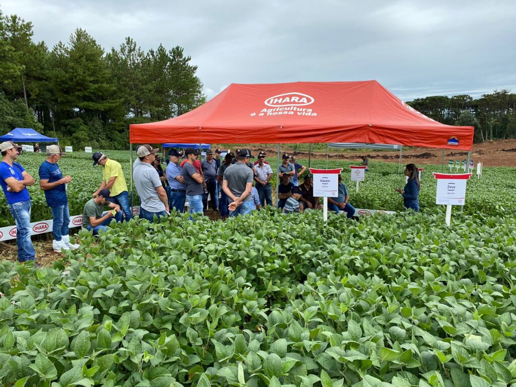 Copercampos promove Tarde de Campo em Ibiraiaras/RS