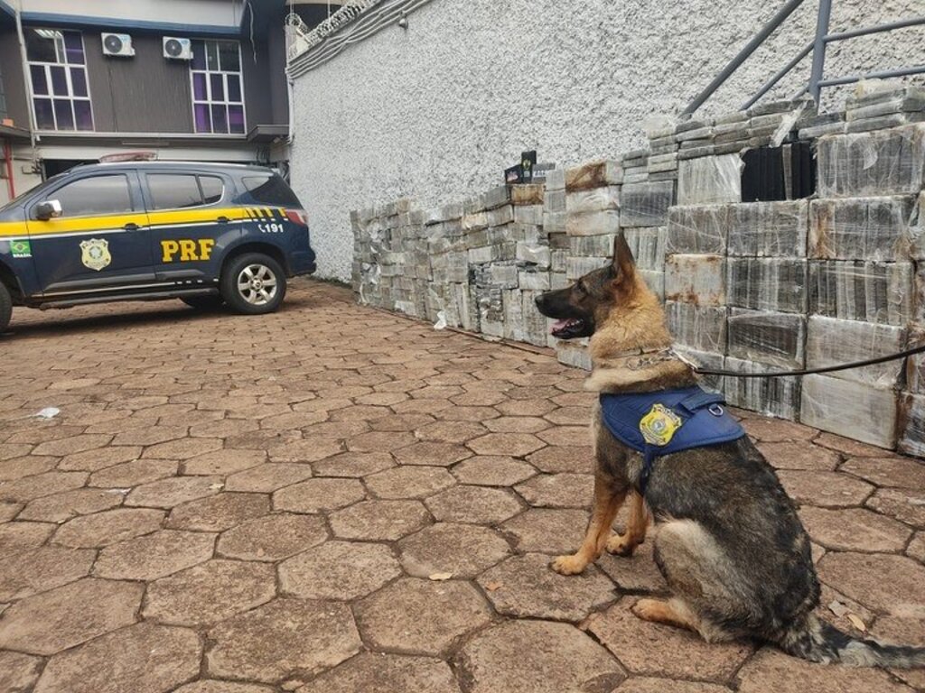 PRF/Divulgação - 