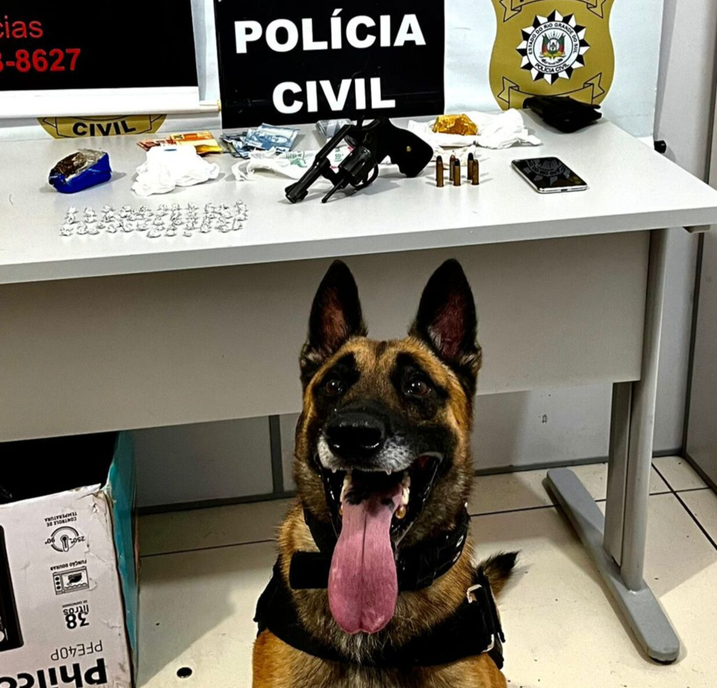Draco de Rio Grande prende traficante armado na Vila Militar