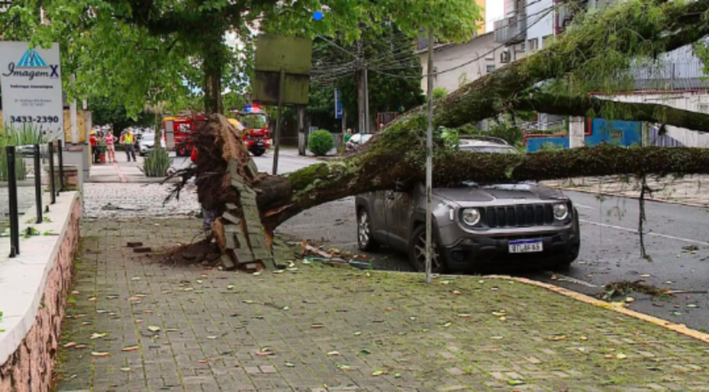 Defesa Civil/Divulgação - Joinville teve quedas de árvores com o temporal