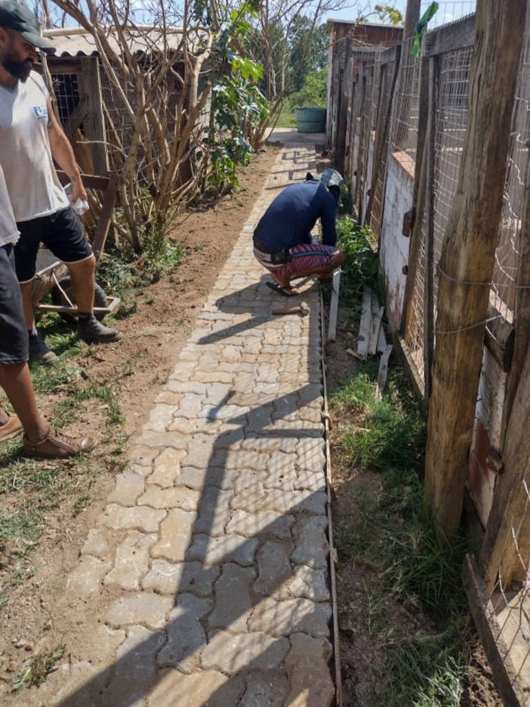 Divulgaçao - A ação teve como objetivo promover a melhoria nos recintos dos cães e gatos.