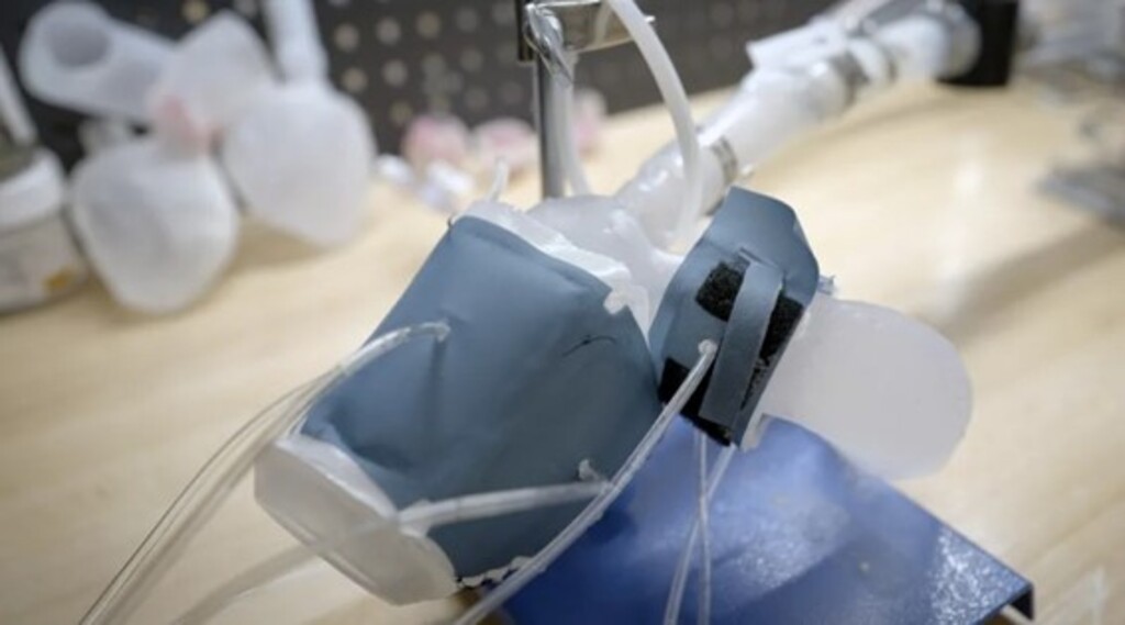 MIT desenvolve coração impresso em 3D que imita anatomia e funções de pacientes