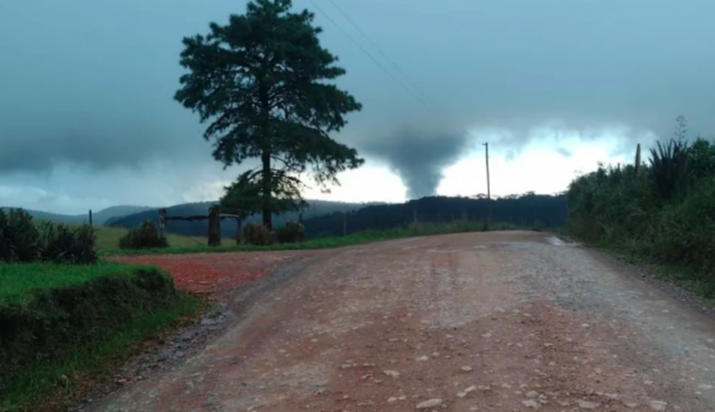 Tornado com rajadas de 100 km/h arrancou árvores pela raiz em Campo Alegre