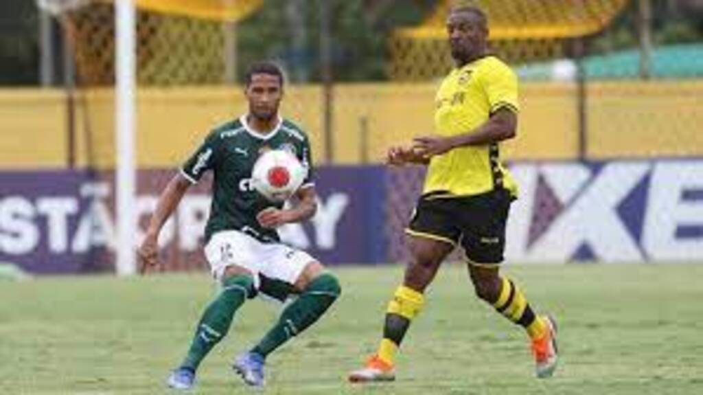 Palmeiras x São Bernardo: onde assistir