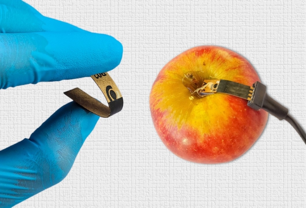 Sensor de papel detecta agrotóxico em alimentos de forma rápida e barata