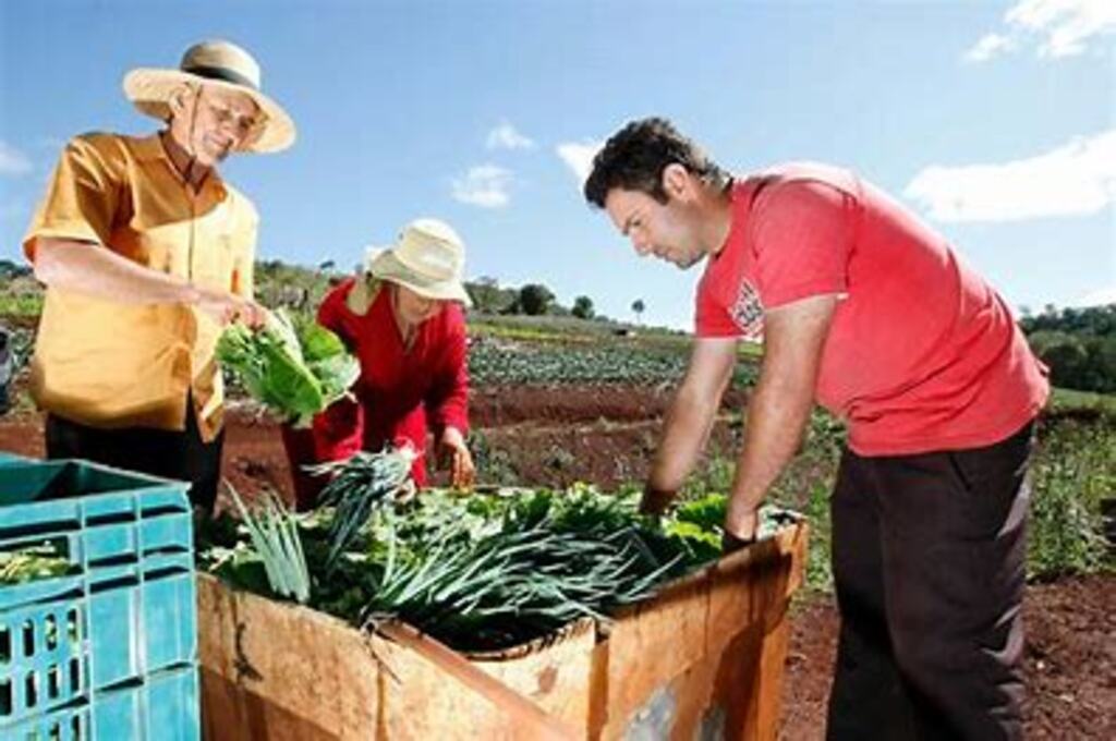 Governo retomará compras de alimentos da agricultura familiar