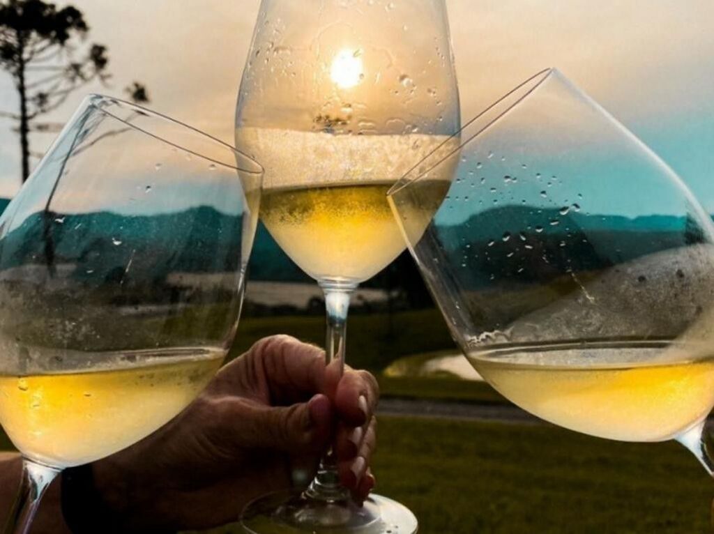 Região segue animada com atividades especiais nas vinícolas 