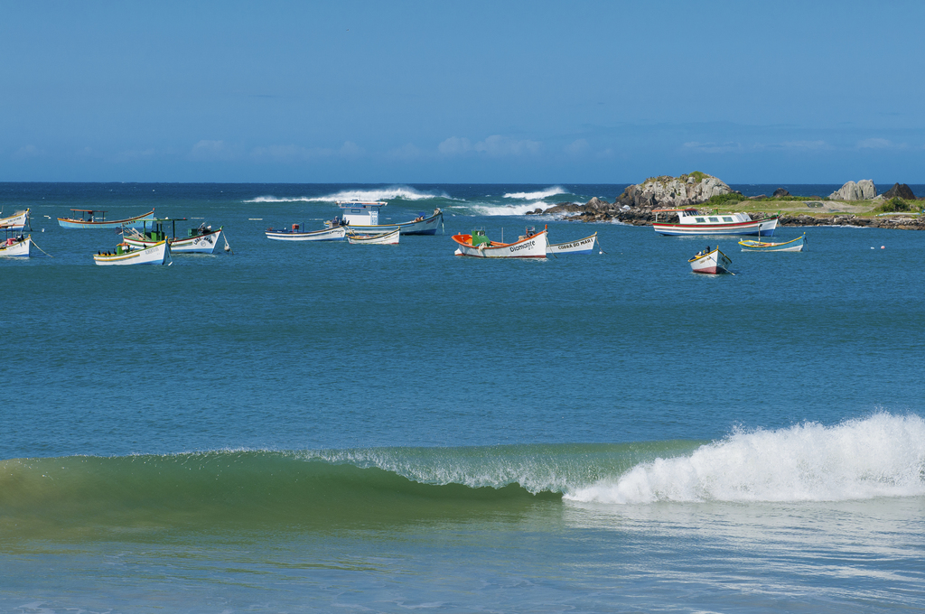 SC participa de iniciativa internacional para financiar pesquisas sobre sustentabilidade dos oceanos