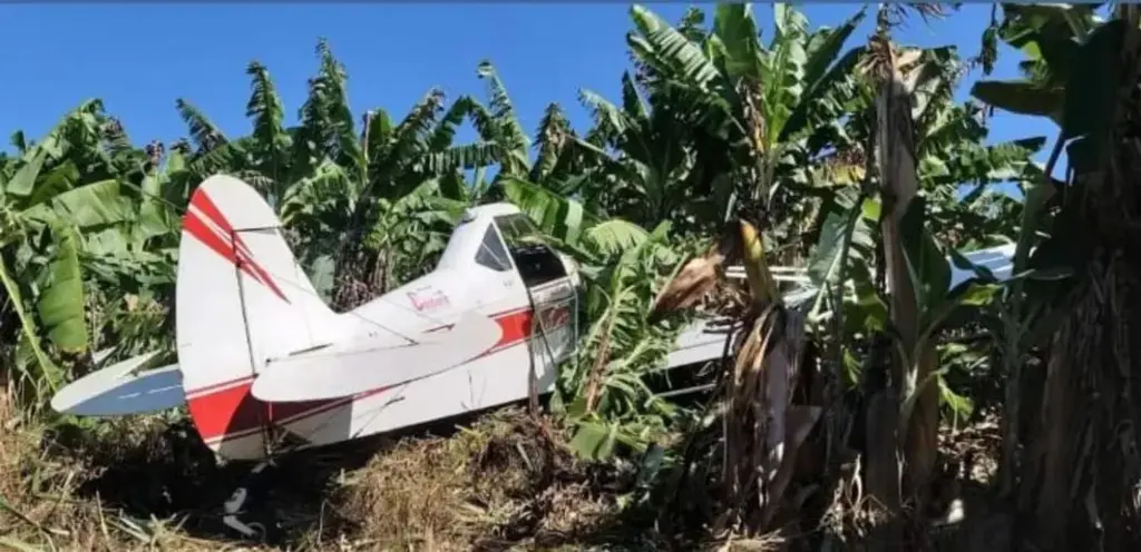 Avião agrícola cai sobre bananal em SC