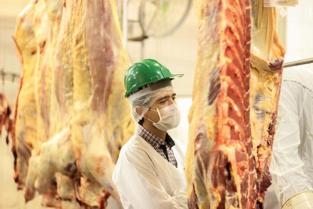 Foto: Divulgação - Demanda chinesa por carne bovina deve seguir aumentando em 2023
