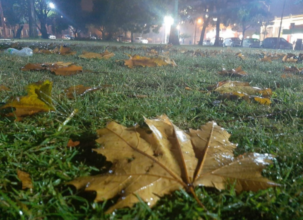 Semana terá chuva significativa