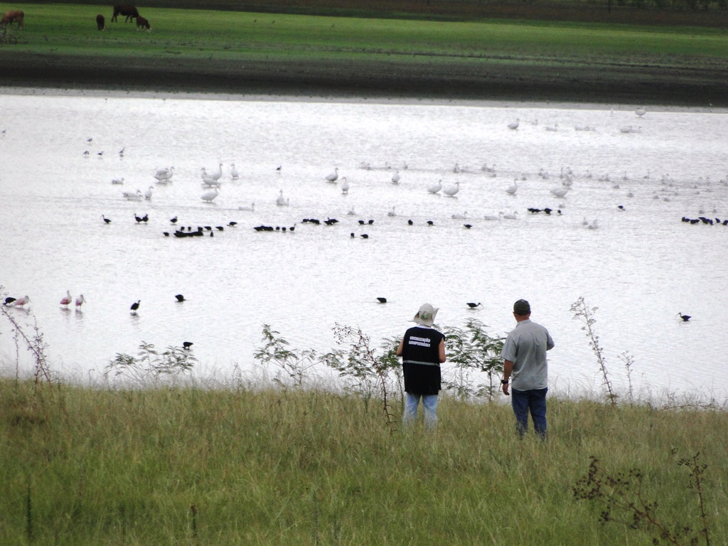 Foto: Paulo André Santos - Secretaria tem utilizado drones e embarcações para monitorar aves de vida livre