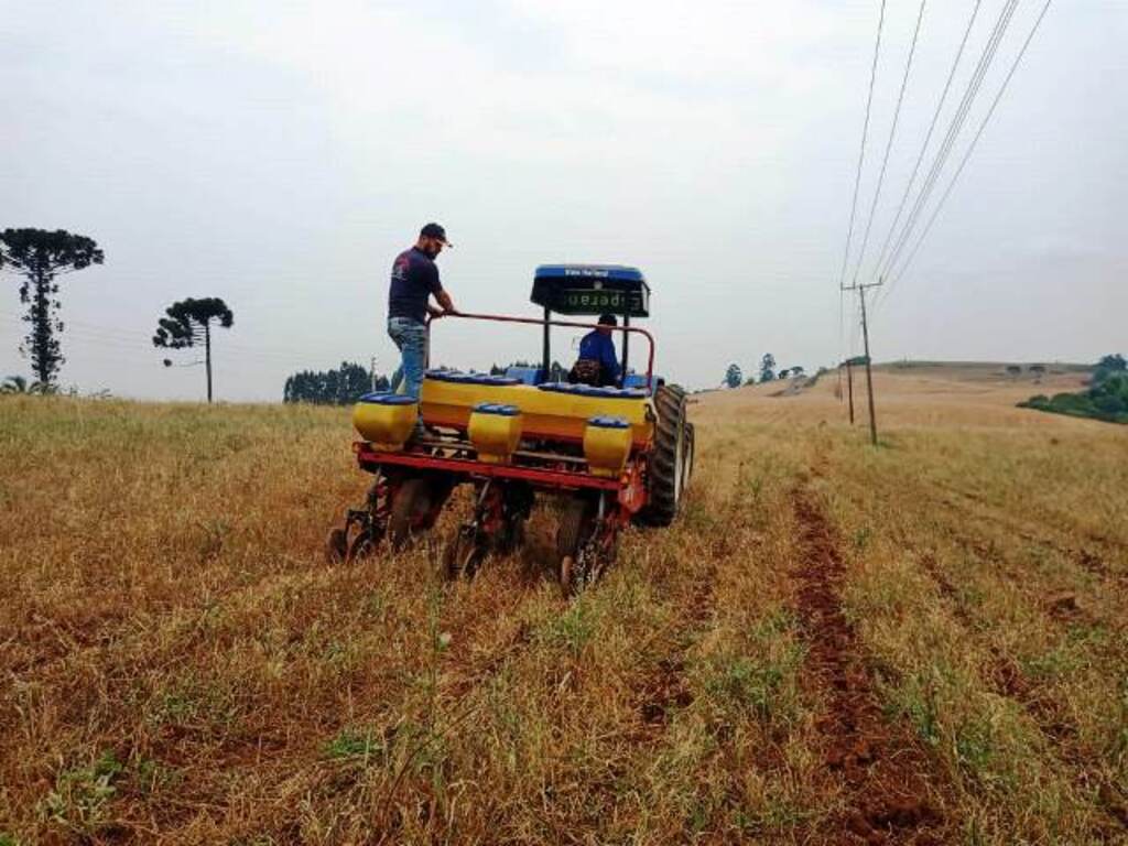 Compra de até 85 mil toneladas de milho