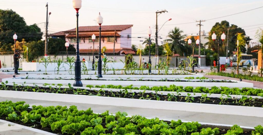 Jardins comestíveis de Maricá: beleza que alimenta os moradores do município