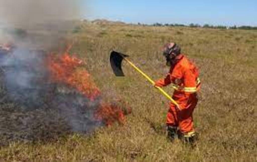 Incêndio em área de vegetação é controlado pelo Corpo de Bombeiros em Guaiúba