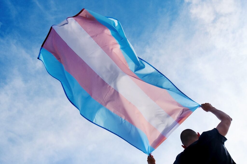 Divulgação - DP - Data busca conscientização acerca da luta e da discriminação sofrida por transgêneros e travestis
