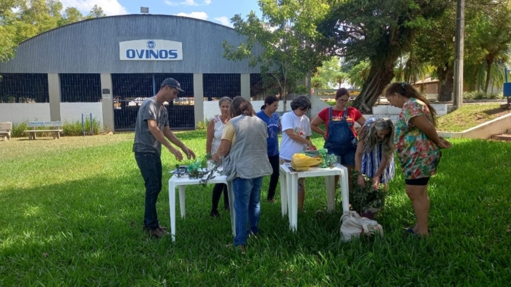 Divulgação - O tema abordado neste módulo foi “Plantas Medicinais” e teve como assunto o envolvimento e interação com o poder medicinal com a nossa vasta flora.