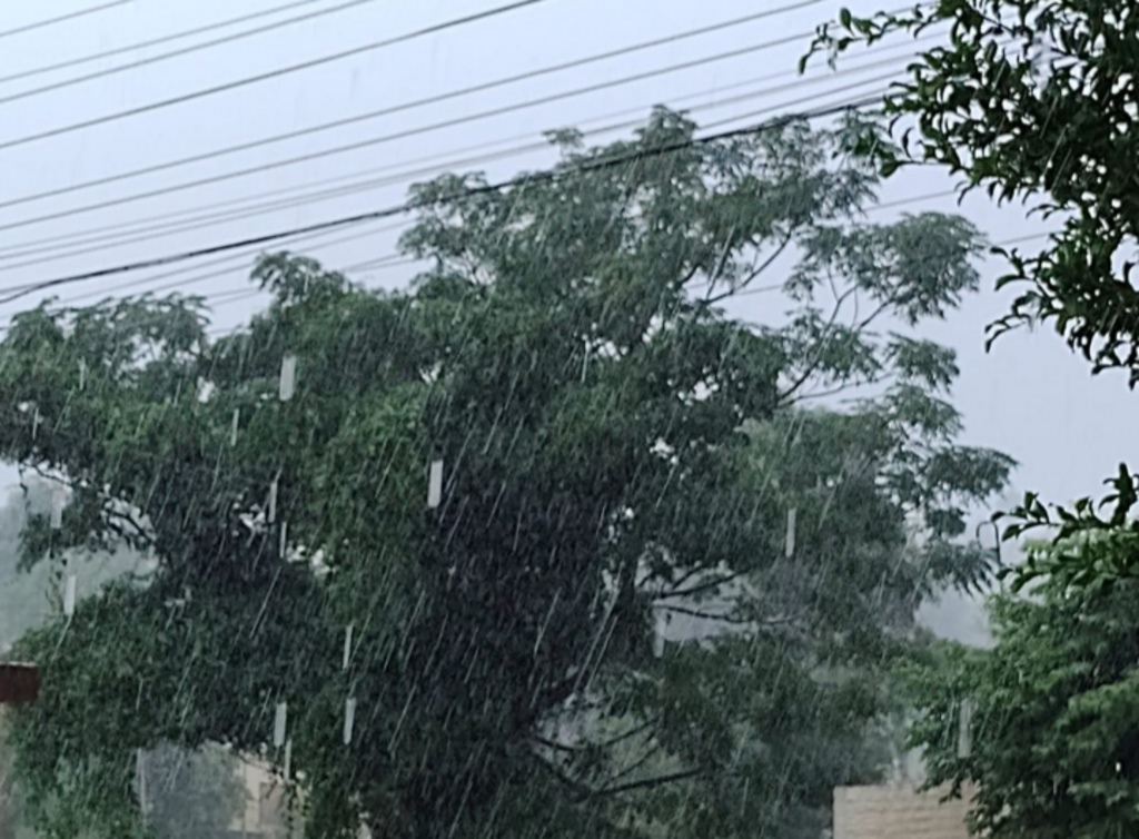 Niela Bittencourt - Bagé registrou bastante chuva no início da tarde de sexta