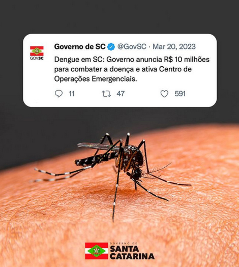 Dengue em SC: