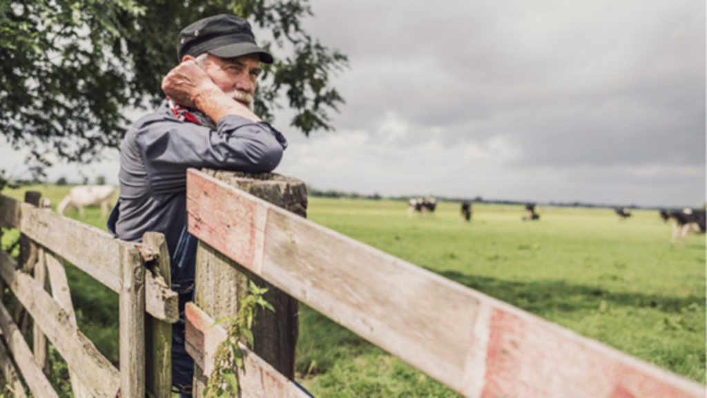 Números de trabalhadores no agro cresceu