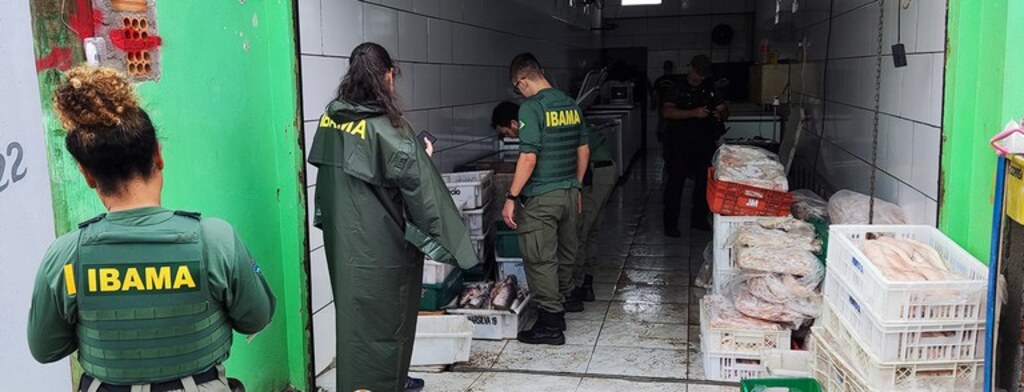 Ibama - Além de impedir a pesca ilegal do camarão, a operação fiscalizou barcos e pescadores não licenciados