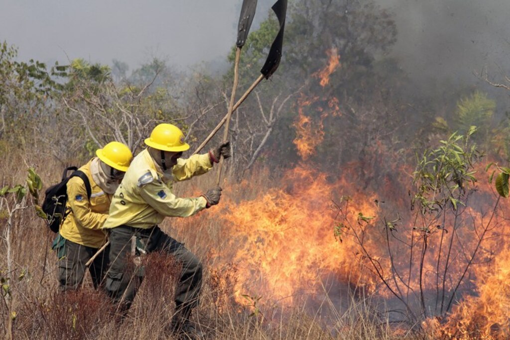 Bombeiros combatem dois fogo no mato em Nova Brasília