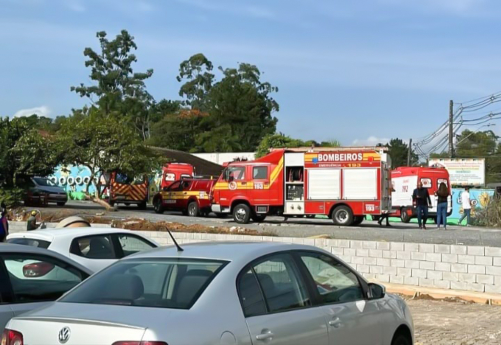 DIVULGAÇÃO - 