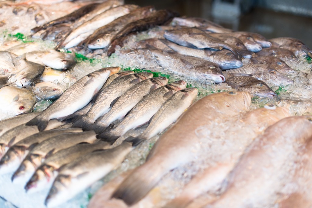 Vigilância Sanitária de Joinville orienta consumidores na compra de pescados