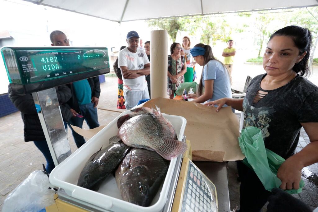 Prefeitura e AJAQ realizam a Feira do Peixe Vivo nesta quinta e sexta em Joinville