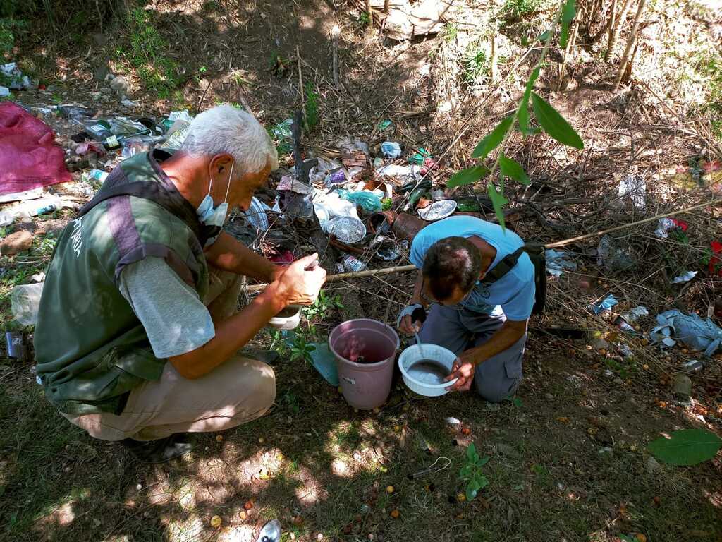 Vigilância pede cuidado redobrado para evitar a dengue