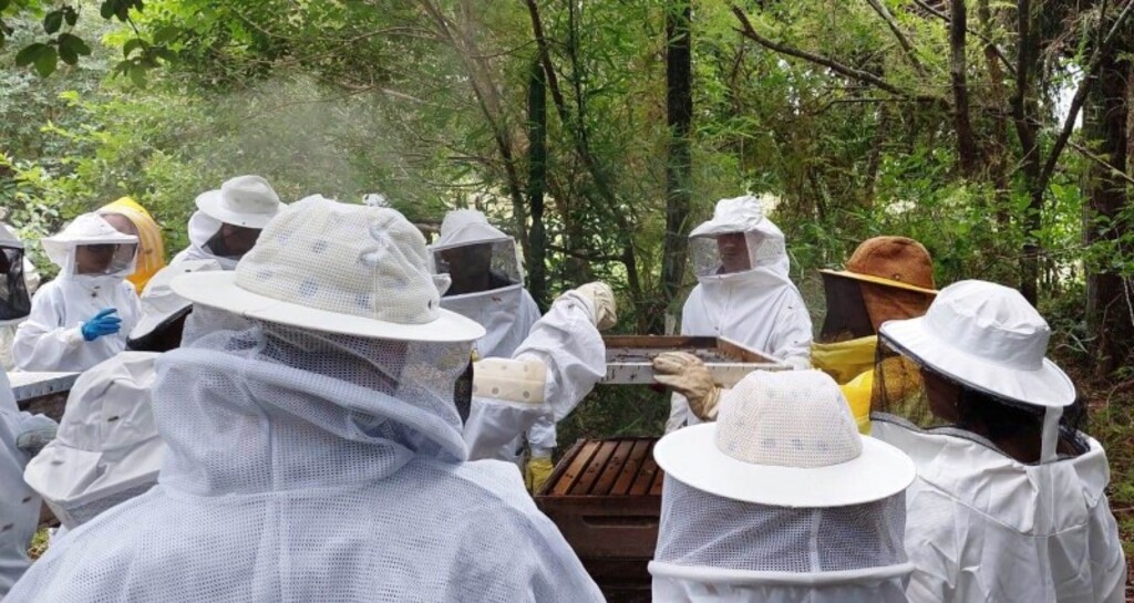 Foto: André Witt - Servidores da Seapi passaram por treinamento teórico-prático para ir a campo