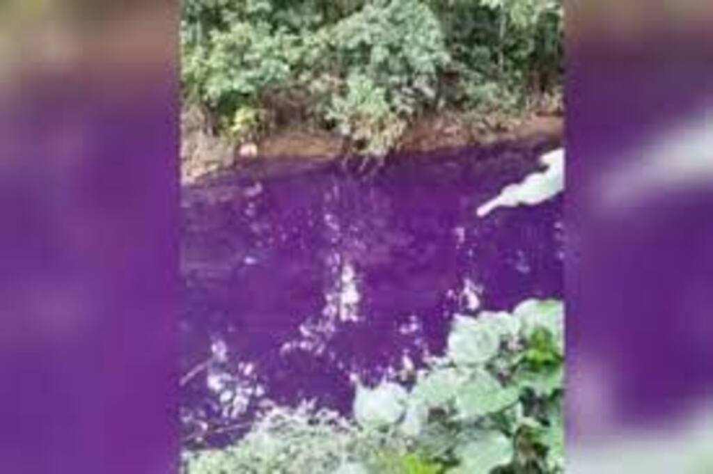 Trecho do Rio do Braço fica roxo em Joinville e prefeitura investiga crime ambiental