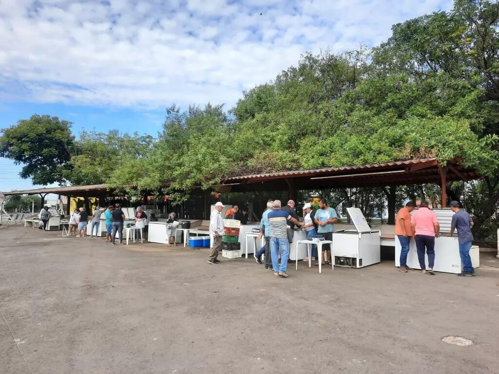 Feira do Peixe comercializou mais de R$ 250 mil