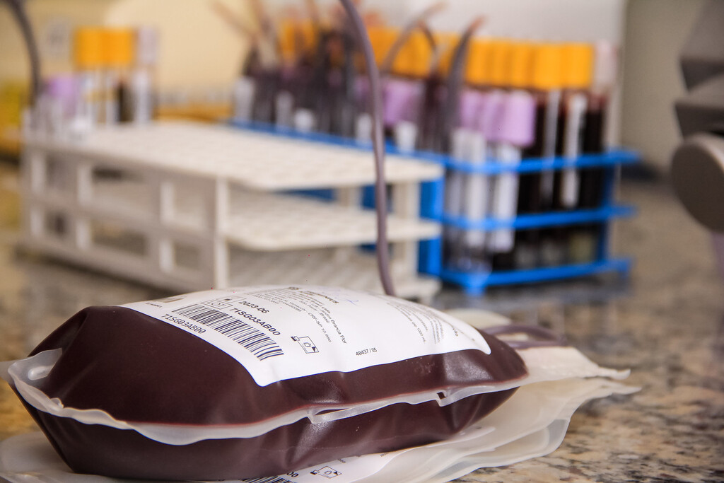 Estudantes fazem campanha para incentivar a doação de sangue