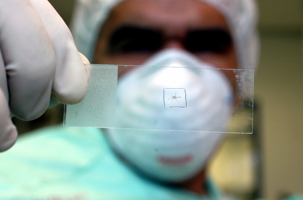 Estado confirma a terceira morte por dengue em 2023