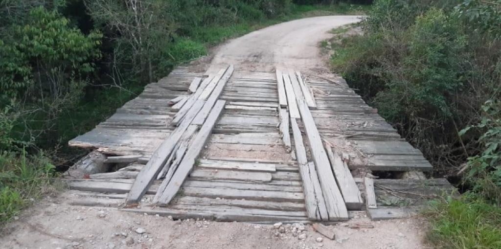 Foto: Divulgação - 