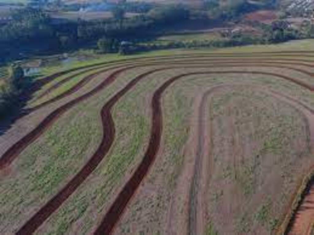 Epagri realiza na sexta, 14, evento on-line para marcar Dia da Conservação do Solo