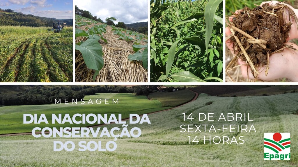 Epagri realiza nesta sexta, 14, evento on-line para marcar Dia da Conservação do Solo