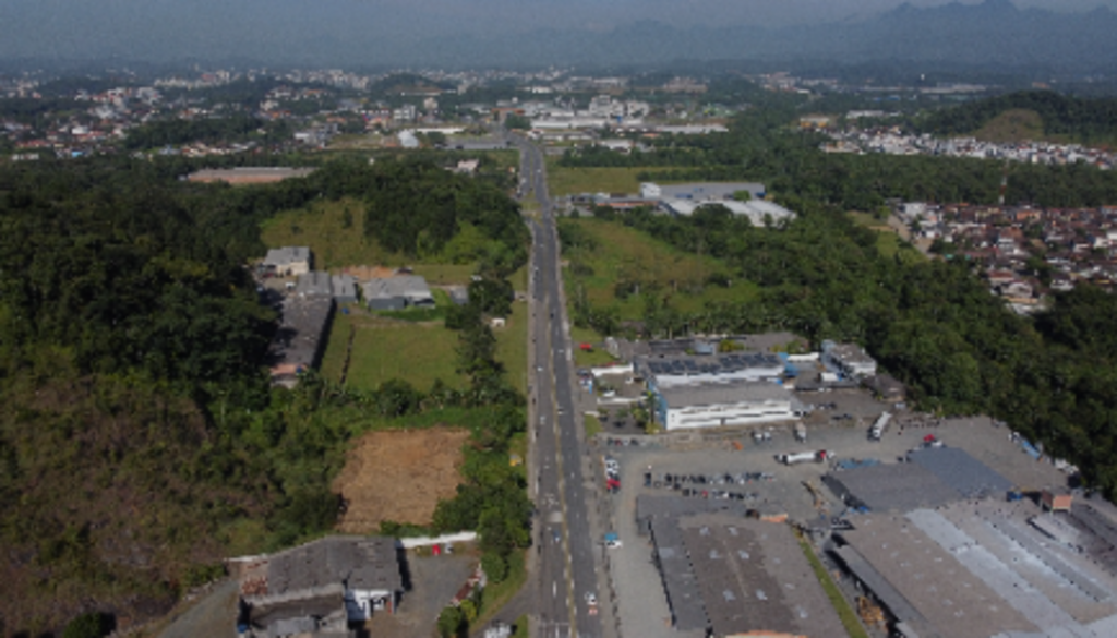 Justiça obriga Joinville a implantar travessias para animais silvestres em rodovia que corta área de interesse ecológico