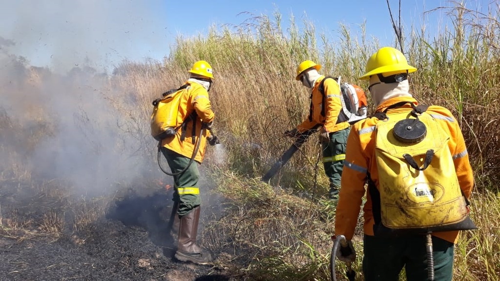 Bombeiros de Imbituba combatem incêndio às margens da SC-437