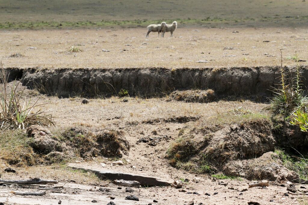 Foto: Jô Folha - DP - Atividades como a reservação de água precisam ser feitas de acordo com a legislação ambiental