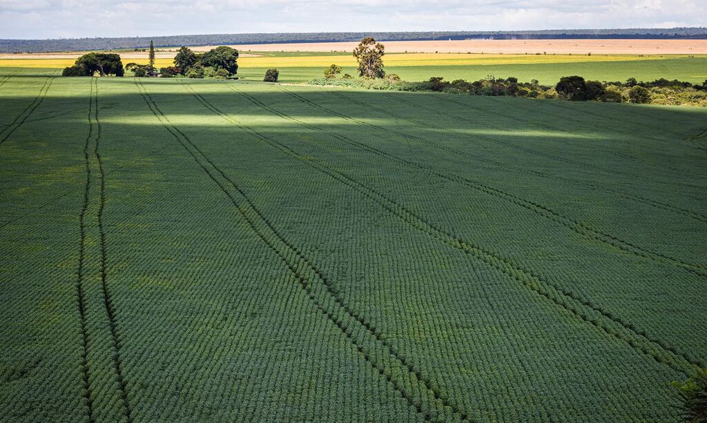 Wenderson Araújo - CNA - DP - Eventos climáticos adversos mais frequentes contribuem para elevar indenizações do seguro rural