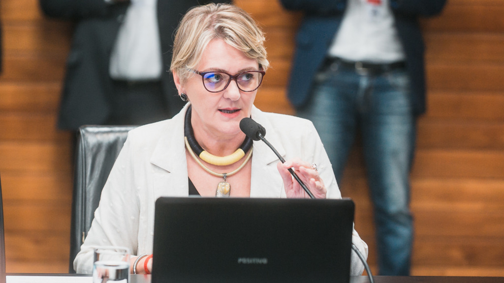  - Deputada Estadual Luciane Carminatti (PT)