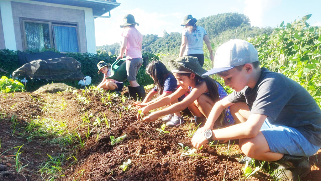 Unidade de contraturno escolar que funciona às margens do reservatório da Usina Hidrelétrica Machadinho, na Capital Turística, tem inspirado crianças com o cultivo de alimentos orgânicos