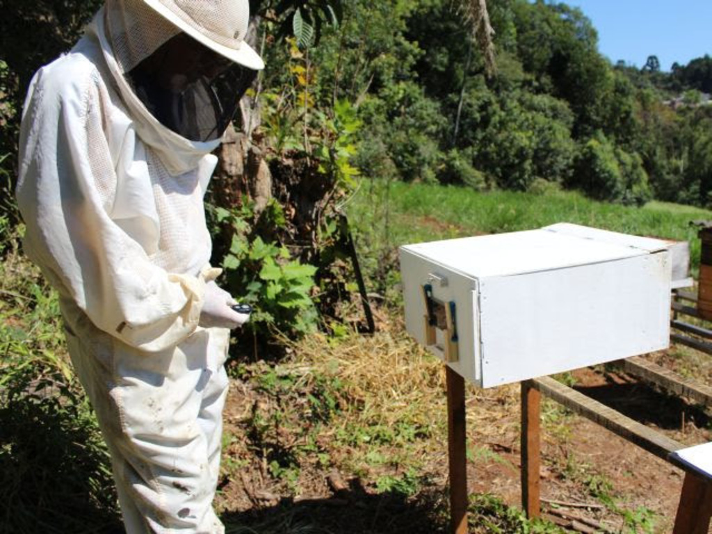 Captura de imagens digitais em colmeias aumenta a precisão dos dados em pesquisas