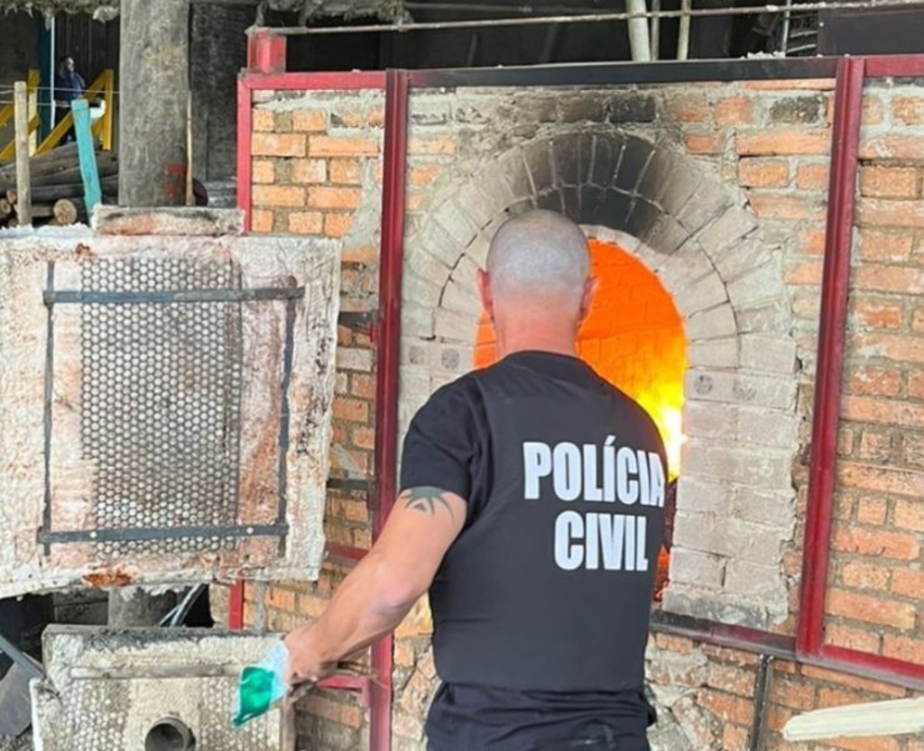  - Foto: divulgação Polícia Civil